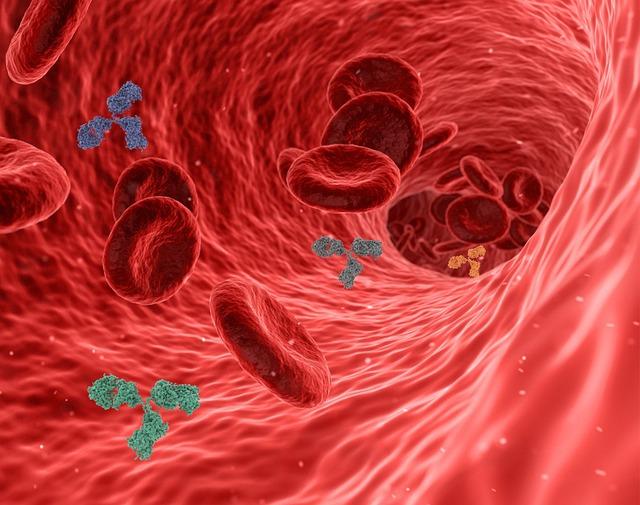 anticorps et vitamine