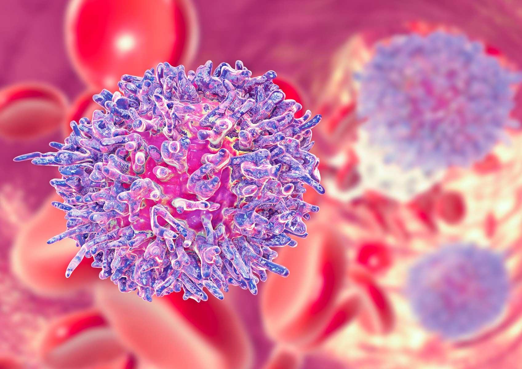 Vue 3D cellules cancer roses et violettes