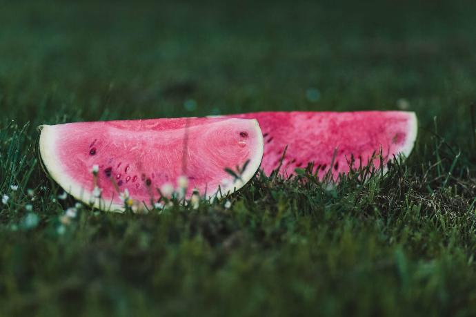 Deux tranches de pastèques dans l'herbe