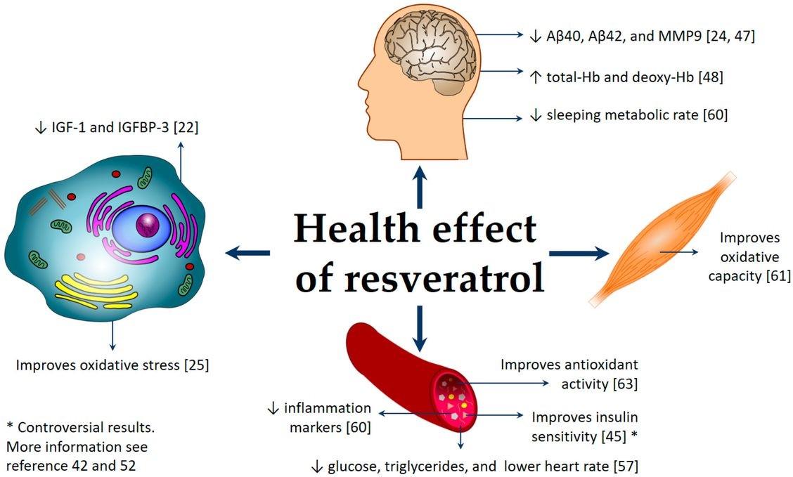 Le resvératrol agit comme un antibiotique pour renforcer les défenses naturelles de l’arbre fruitier. 