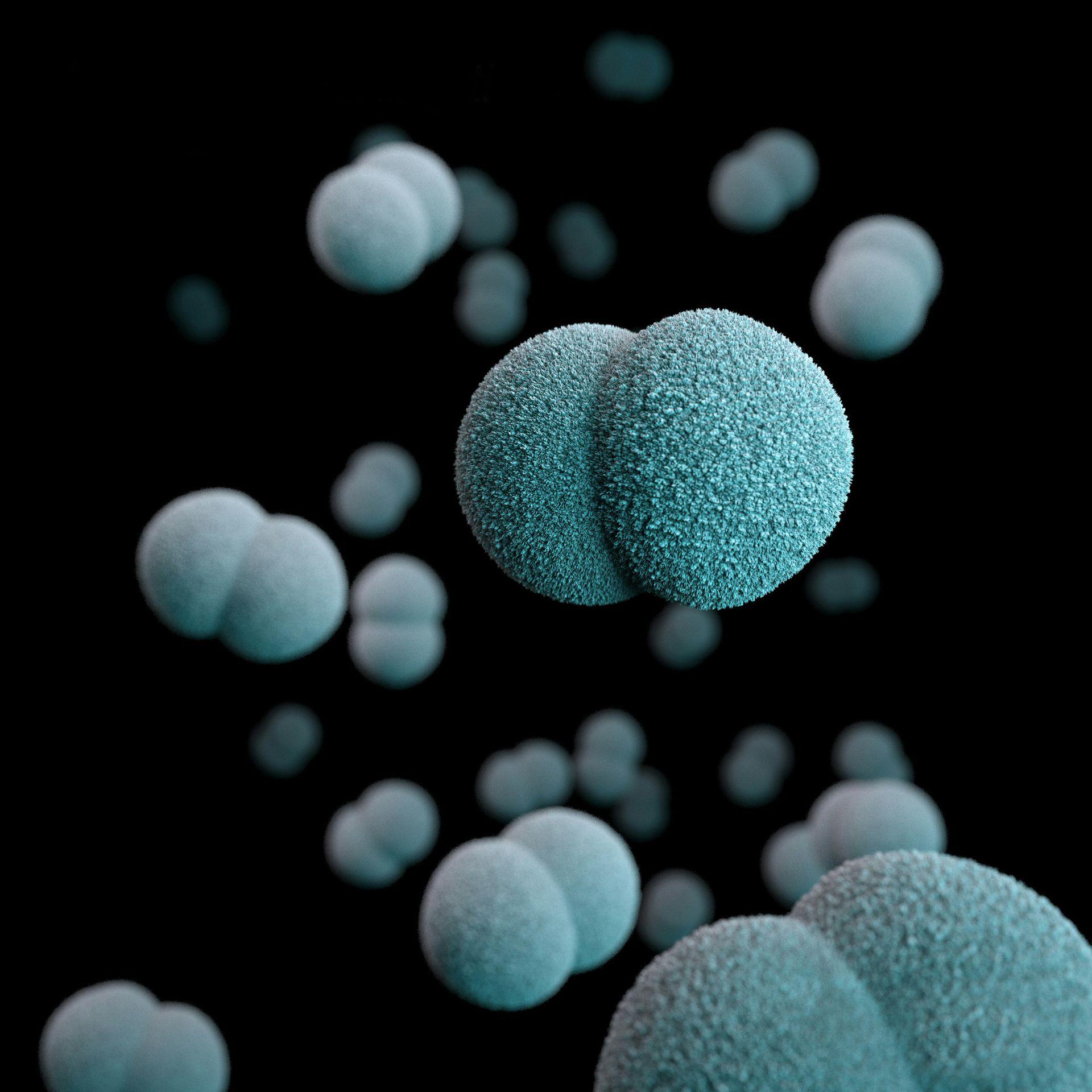 Image représentant des microbes 