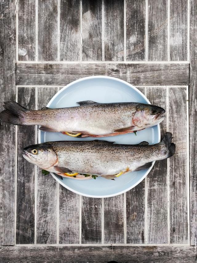 2 poissons DANS UNE ASSIETTE