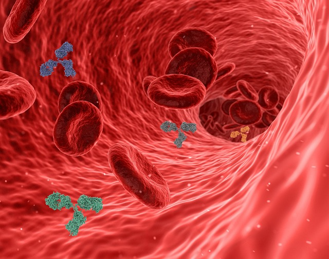 anticorps et vitamine 