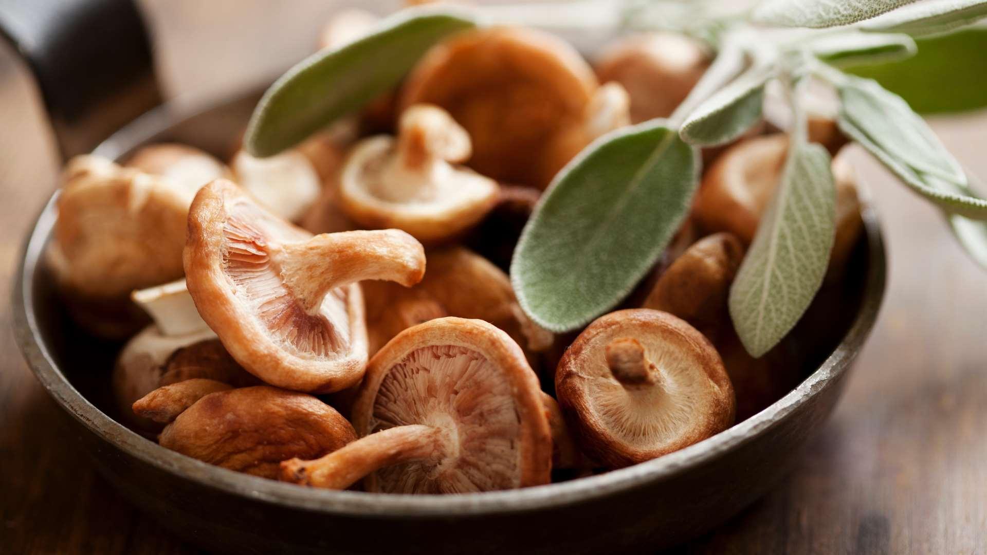 Champignons shiitake dans un plat avec des feuilles de sauge au-dessus