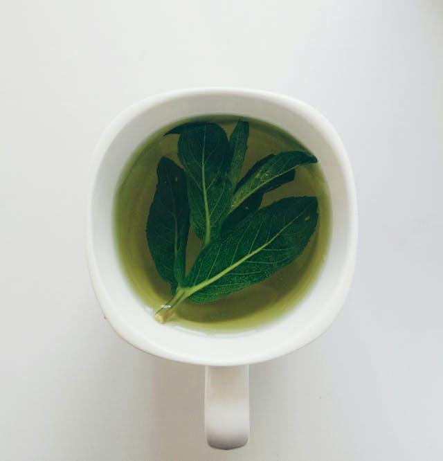 tasse blanche vue de haut avec infusion menthe et feuilles de menthe