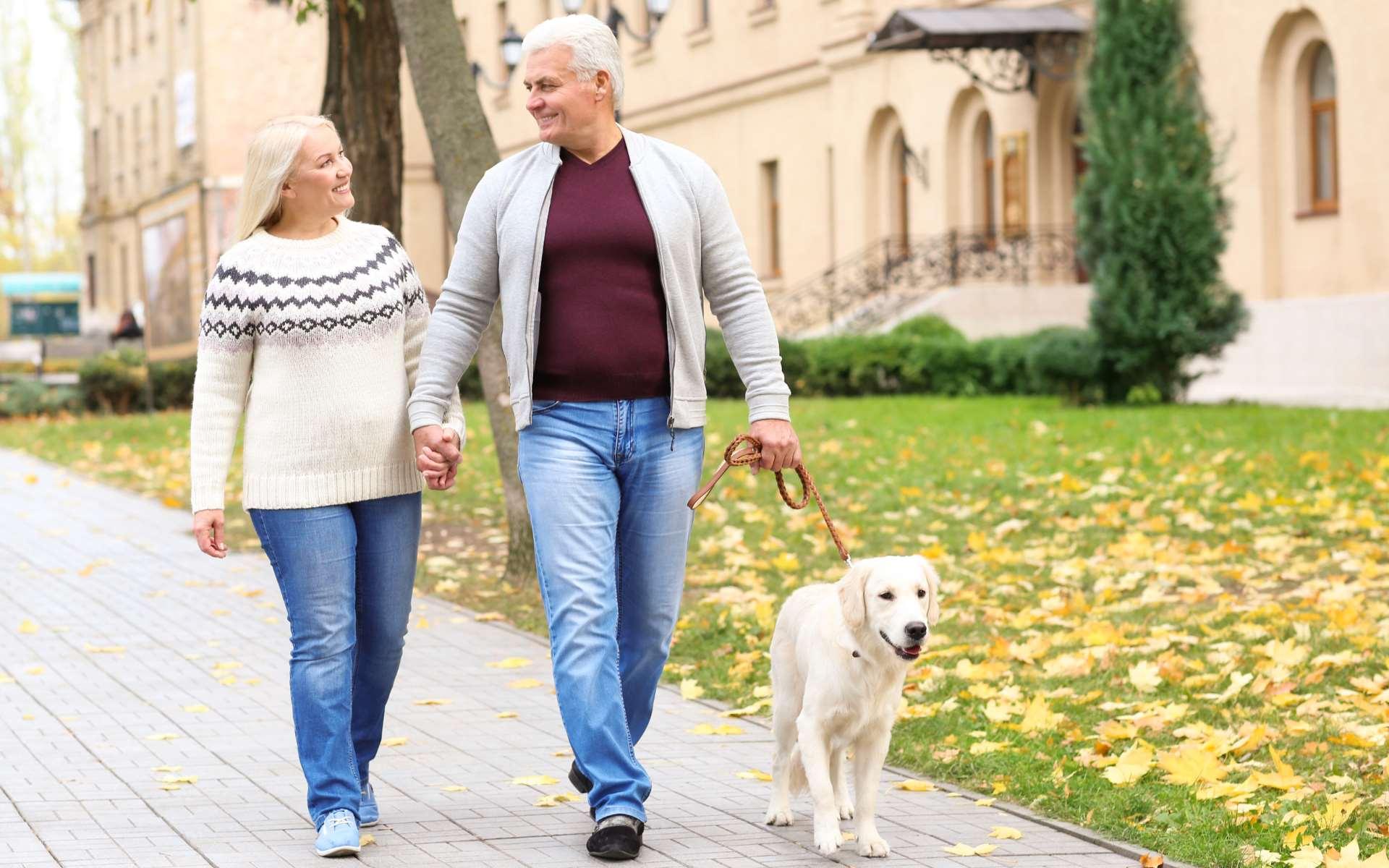 Couple aux cheveux blancs qui marchent dans la rue en se regardant en souriant et en se tenant la main avec chien blanc tenu en laisse rouge