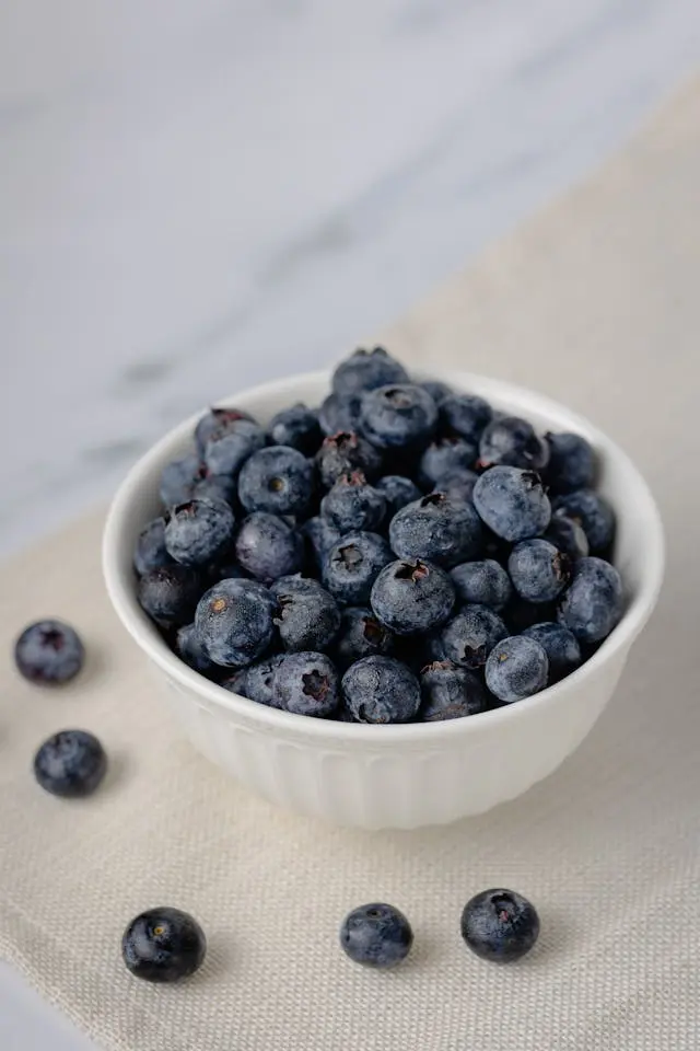 Myrtilles dans coupelle blanche et cinq myrtilles devant posées sur serviette en  coton tressé beige