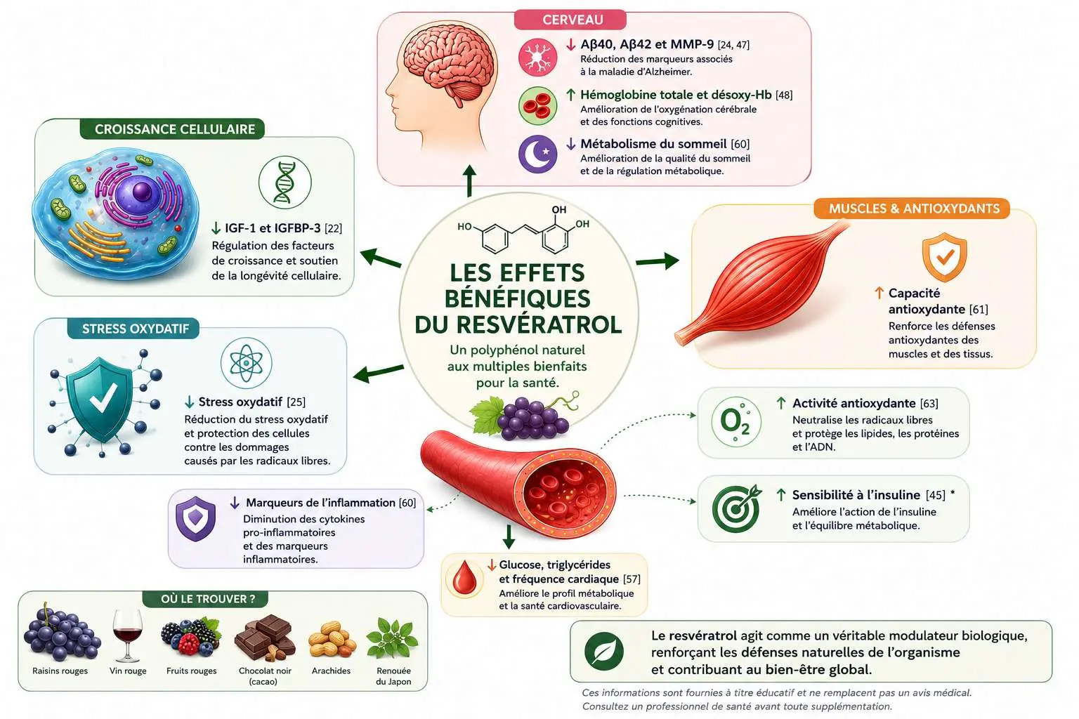 Schéma sur les effets bénéfiques du resvératrol