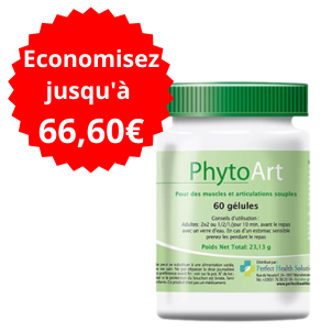 Pack PhytoArt N