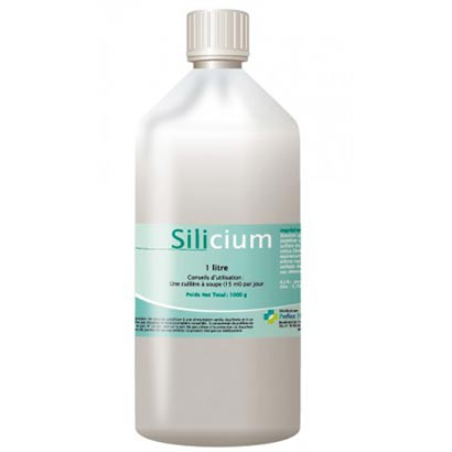 Silicium