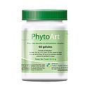 [530] ​PhytoArt