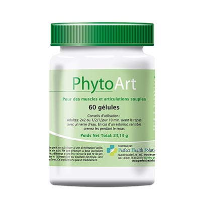 [530] PhytoArt